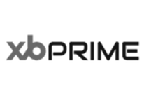 Client organisation logo